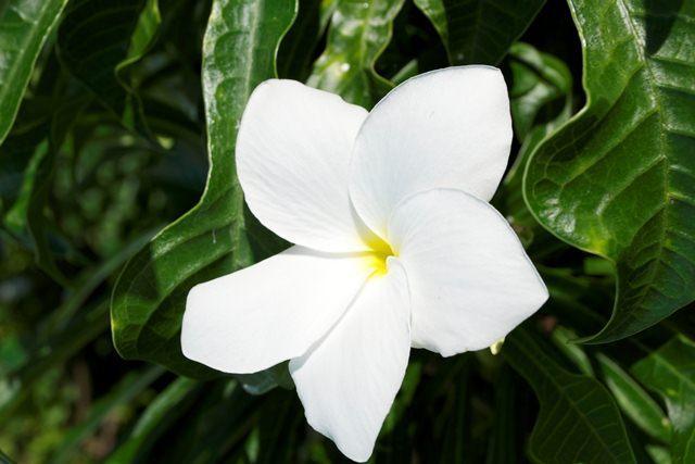 Ahitea Lodge بابيت المظهر الخارجي الصورة